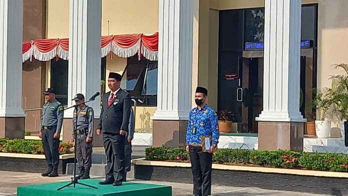 WhatsApp Image 2023-08-17 at 08.27.43